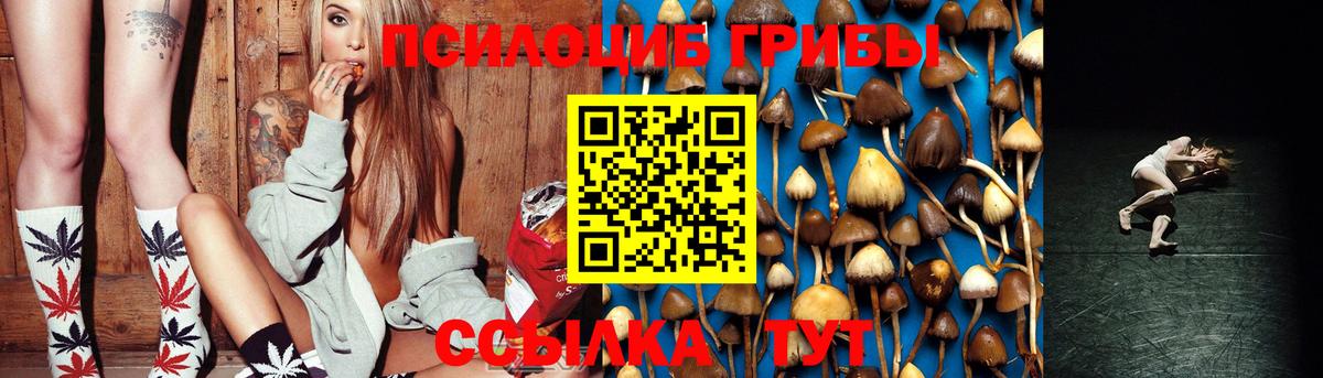 Галлюциногенные грибы ЛСД Томск